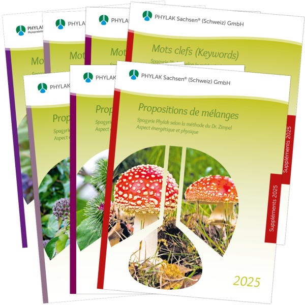 Ensemble de formation completer 2025