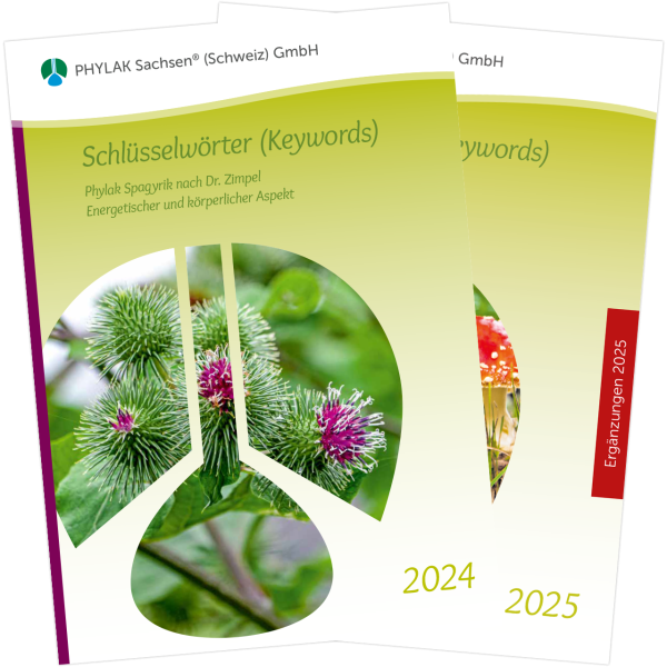 Schlüsselwörter Ergänzungen 2024 & 2025